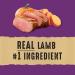 Nature s Recipe Adult Grain Free Lamb Sweet Potato & Pumpkin Recipe Dog Food 10.8 kg GF - Lamb 10.8 kg (Pack of 1) - Buy Online on GoSupps.com