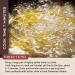 Bellina Tagliolini and Linguine Italian Truffle Pasta Variety Pack - Gourmet Imported Pasta Sampler (8.8 oz each) - Buy Online on GoSupps.com