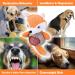 Buy Wookiwuki Fox & Raccoon Dog Toys for Small Dogs - Durable Cotton Squeaky Toys for Training & Fun - 2-Pack - Buy Online on GoSupps.com