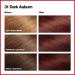 Revlon Colorsilk Haircolor Dark Auburn 31 - 1 Count Pack - Buy Online on GoSupps.com