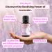 Buy Rocky Mountain Oils Purify Lavender Essential Oil - Organic Diffuser Oil for Aromatherapy | Frankincense & Sage Blend | Perfect for Spa Hotel & Sleep - Buy Online on GoSupps.com
