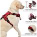 Nestroad XL Anti-Pull Dog Harness & Leash Set for Large Dogs - Red | Adjustable Neck 43-64cm & Chest 53-89cm - Buy Online on GoSupps.com