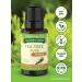 Nature's Truth Tea Tree Essential Oil - 100% Pure Aromatherapy - 0.5 Fl Oz - International Shipping Available - Buy Online on GoSupps.com