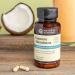 Nature's Sunshine Immune Stimulator 90 Capsules - Boost Your Immune System Naturally - Buy Online on GoSupps.com