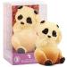 CHEVALIERS D'ARGOUGES French Master Chocolatiers - Panda white chocolate 28% - Easter chocolate - 90g tube - Buy Online on GoSupps.com