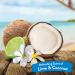 TropiClean Deodorizing Pet Spray Cologne - Lime & Coconut Scent - Natural Ingredients - Long Lasting - Made in USA - 8 oz - Buy Online on GoSupps.com