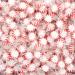 Starlight Candy Individually Wrapped (Peppermint 1 Pound) Peppermint 1 Pound