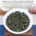 Buy XIXICHA Alishan Oolong Tea - Grade AAA Loose Leaf High Mountain Floral & Fruity Aroma 5.29oz (150g) - Premium Taiwanese Green Tea - Buy Online on GoSupps.com