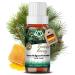 Nordholz sauna infusion choose from 48 varieties 15ml - sauna infusion agent #12 fir honey special sauna fragrance for intensive & relaxing moments - sauna accessories