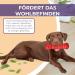 Samnis Indestructible Red Kielzeug Dog Toy - Premium Natural Rubber Squeaky & Robust for Medium & Large Dogs - Buy Now! - Buy Online on GoSupps.com