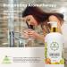 Aromatherapy Luxury Liquid Hand Soap - Vegan & Moisturizing with Aloe Vera & Citrus - 16 Oz Hand Wash for Bathroom & Kitchen - Buy Online on GoSupps.com