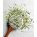 Organic Dried Fenugreek Leaves (Kasoori Methi) 1oz | Naturevibe Botanicals | Cooking Spice for Flavor Enhancement - Buy Online on GoSupps.com