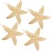 4 Pieces Starfish Hair Clip Metal Starfish Hairpin Sea Star Hair Clip Beach Hair Pins for Women Hair Accessories
