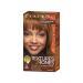 Clairol Professional Texture and Tones Permanent Hair Color  Fade Resistant Hair Dye & Color  1 oz 5g Light Golden Brown
