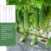 jojofuny 3Pcs Fruit Shaper Vegetable Forming Mould Tool Fruit Stereotypes for 20x6cm As Shown - Buy Online on GoSupps.com