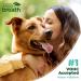 Fresh Breath by TropiClean - Water Additive for Dogs - Remove Plaque & Tartar - Advanced Whitening - 473 ml - Buy Online on GoSupps.com