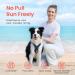 Pawaii XS Dog Harness for Small Dogs - Anti-Pull Reflective Adjustable Breathable Chest Harness with Handle - Deep Sea Blue - Buy Online on GoSupps.com