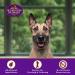 Old Mother Hubbard P-Nuttier Peanut Butter Dog Treats - All Natural, Crunchy, Healthy Snacks for Small Dogs - Buy Online on GoSupps.com
