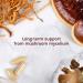 Fungi Perfecti Host Defense Mushrooms - Stamets 7 Immune Support | 120 Veg Capsules - Buy Online on GoSupps.com