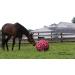 Horsemen's Pride Jolly Mega Ball Pink Camo Cover - 30 Inch Equine Mega Ball Accessory - Buy Online on GoSupps.com
