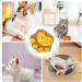 Paw Cat Treats - Cat Paw Biscuits Cat Treat - Healthy Cat Treats Paw Shape Cat Food Treats Cat Biscuits Dry Cat Treats Natural Training Biscuits Treats 1 count (Pack of 1) - Buy Online on GoSupps.com