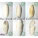 Pack of 4 Medium Cuttlebones for Birds, Tortoise, Snails, and Parakeets - Calcium Block Alternative for All Breeds - 3.5 to 4 Inches - Buy Online on GoSupps.com
