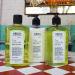 C.O. Bigelow Village Perfumer Lime Coriander Body Lotion - No. 1536 | Moisturizing Lotion for Women and Men | 10 fl oz - Buy Online on GoSupps.com