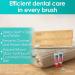 Kraft Paper Dental Kit: Eco-Friendly Wheat Straw Toothbrush & Colgate Toothpaste - 50 Pack for Sustainable Oral Care - Buy Online on GoSupps.com