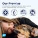 Vetnique Dentabliss - Dog Teeth Cleaning Finger Mitt Dental Wipe - Dog Plaque and Tartar Prevention with Brushing Beads - Convenient Dog Teeth Wipes with Peppermint Dog Breath Freshener 50ct - Buy Online on GoSupps.com