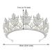 AW BRIDAL Crystal Pearl Queen Crown - Wedding Tiara for Bride - Princess Crown for Pageant, Prom & Birthday - Silver Bridal Headband - Buy Online on GoSupps.com