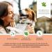 Moofurr Dog Toothpaste 75ml - Natural Beef Flavor Tartar Removal & Dental Care for Dogs - Daily Use - Buy Online on GoSupps.com
