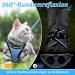 Rabbitgoo Cat Dishes Set Premium Cat Linen with Leash | Ideal for Stylish Feline Dining - Buy Online on GoSupps.com
