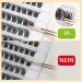 QUEWEL Eyelash Cluster - Mixed Length Natural Look Reusable DIY Extensions - Thin Band for Home Use (FD04) - 1 Pack - Buy Online on GoSupps.com