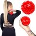 Buy SPRINGOS Hedgehog Ball Massage Ball with Knobs - 8.5 cm Hard Red for Relieving Muscle Tension | International Shipping Available - Buy Online on GoSupps.com