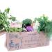 Fresh box Colorful variety 5 kg rabbit box