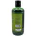 High Supreme Organic Bergamot Shampoo with Aloe Vera & Rosemary - 16.9 fl oz (500 ml) | Natural Hair Care for All Hair Types - Buy Online on GoSupps.com