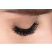 Clavier Artificial lashes in tufts Du2o Double Volume | 20 lashes in a tuft | Different lengths from 8 to 14 mm | Ultra volume for a perfect look MIX (8 10 12 mm) - Buy Online on GoSupps.com