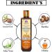 Blessfull Healing Organic Woody Sandal & Honey Hair Cleanser | Shampoo 200 ML (Packing May Vary) - Buy Online on GoSupps.com