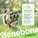 Benebone Wishbone Real Peanuts Medium Durable Dog Chew Toy for Aggressive Chewers | International Shipping Available - Buy Online on GoSupps.com