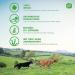 Buy Irish Pure Dry Dog Food 1.5kg - Beef & Chicken Cereal-Free High Meat Content All Breeds Sensitive Formula with Kelp Algae - Buy Online on GoSupps.com