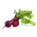 Raw Garden Beet Root Capsules (200 ct) - High Nitrate Beta vulgaris Supplement, Non-Irradiated, Gluten-Free - Buy Online on GoSupps.com
