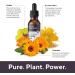Marie Originals Organic Ear Oil for Infections - Natural Eardrops for Prevention & Relief in Kids, Adults, Baby, and Dogs - Mullein & Garlic Formula - 1 Fl Oz - Buy Online on GoSupps.com