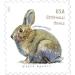Brush Rabbit Additional Ounce Forever Postage Stamps Sheet of 20 US Postal First Class Wedding Celebration Anniversary Party (20 Stamps) Use Three of These Stamps for one Ounce Letters. Stamp1 - Buy Online on GoSupps.com