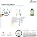 Cordyceps Sinensis Extract Powder - 120 Vegan Capsules (4-Month Supply) | Lab-Tested, Additive-Free - Buy Online on GoSupps.com