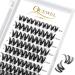 Eyelashes cluster quewel individual eyelashes single cluster lashes 72stck.D curl mix8-16 eyelash segments wide foundation individual eyelashes for eyes make-up DIY eyelash extension (qu19-d-mix8-16) 1 piece (1 Pack) qu19-d-mix 8-16mm
