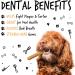Bugalugs Himalayan Yak Chews for dogs are 100% natural dog treats & puppy treats - Dog dental sticks yak chew are a long lasting healthy dental sticks dogs for Plaque Off Tartar & Teeth (5pcs) - Buy Online on GoSupps.com