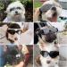 Stylish Dog Sunglasses for Small Dogs - UV Protection Snowproof & Windproof Glasses with Flexible Straps - Cool Black for Puppies & Cats - Buy Online on GoSupps.com