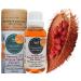 Nativilis Amazonian Urucum Seed Extract Annatto Oil 30 ml (Bixa orellana L.) Emolient for Suncream Lotion Brazilian Bio-Natural Skin Tanning Oil - Copaiba Benefits