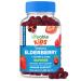 Lifeable Sugar Free Elderberry Gummies for Kids with Vitamin C and Zinc | Kids Immune Support Supplement | Great Tasting Elderberry Gummies | Vegan Non GMO Kosher Gluten Free | 60 Gummies