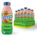 Snapple Naturally Flavoured Fruit Beverage Kiwi- Strawberry 473mL 12-Count & Naturally Flavoured Fruit Beverage Lemonade 473mL 12-Count - Buy Online on GoSupps.com